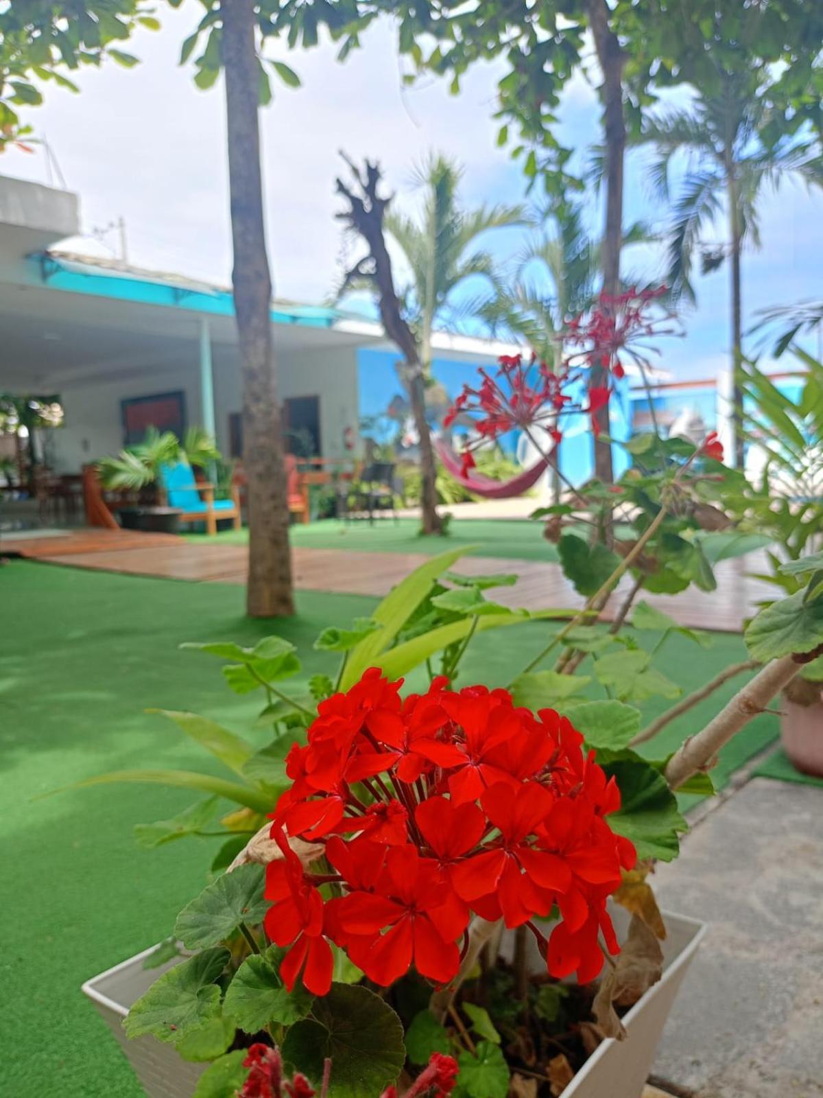 Galapagos Isabela Hotel Loja Puerto Villamil Eksteriør billede
